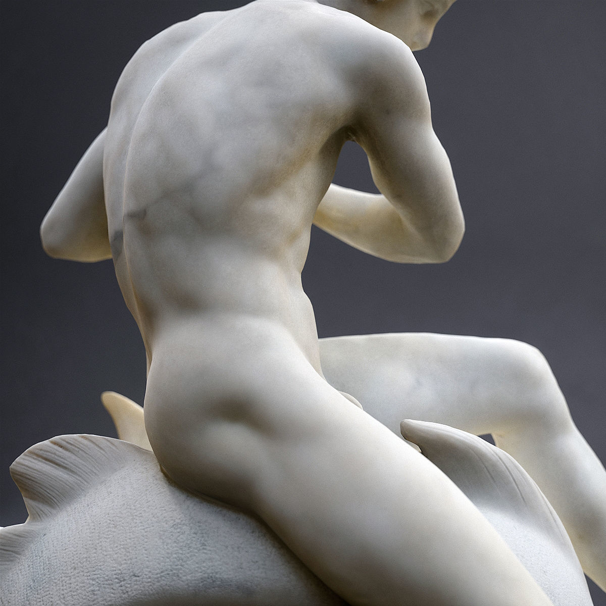 Arion assis sur le dauphin Orsay 3D print model_4