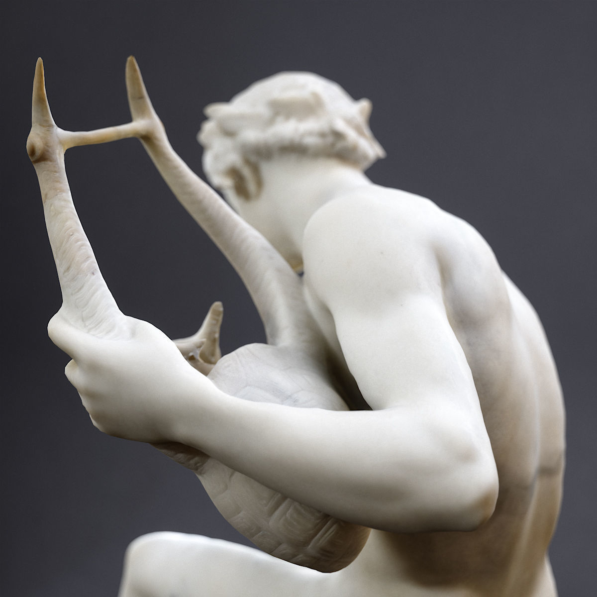 Arion assis sur le dauphin Orsay 3D print model_6