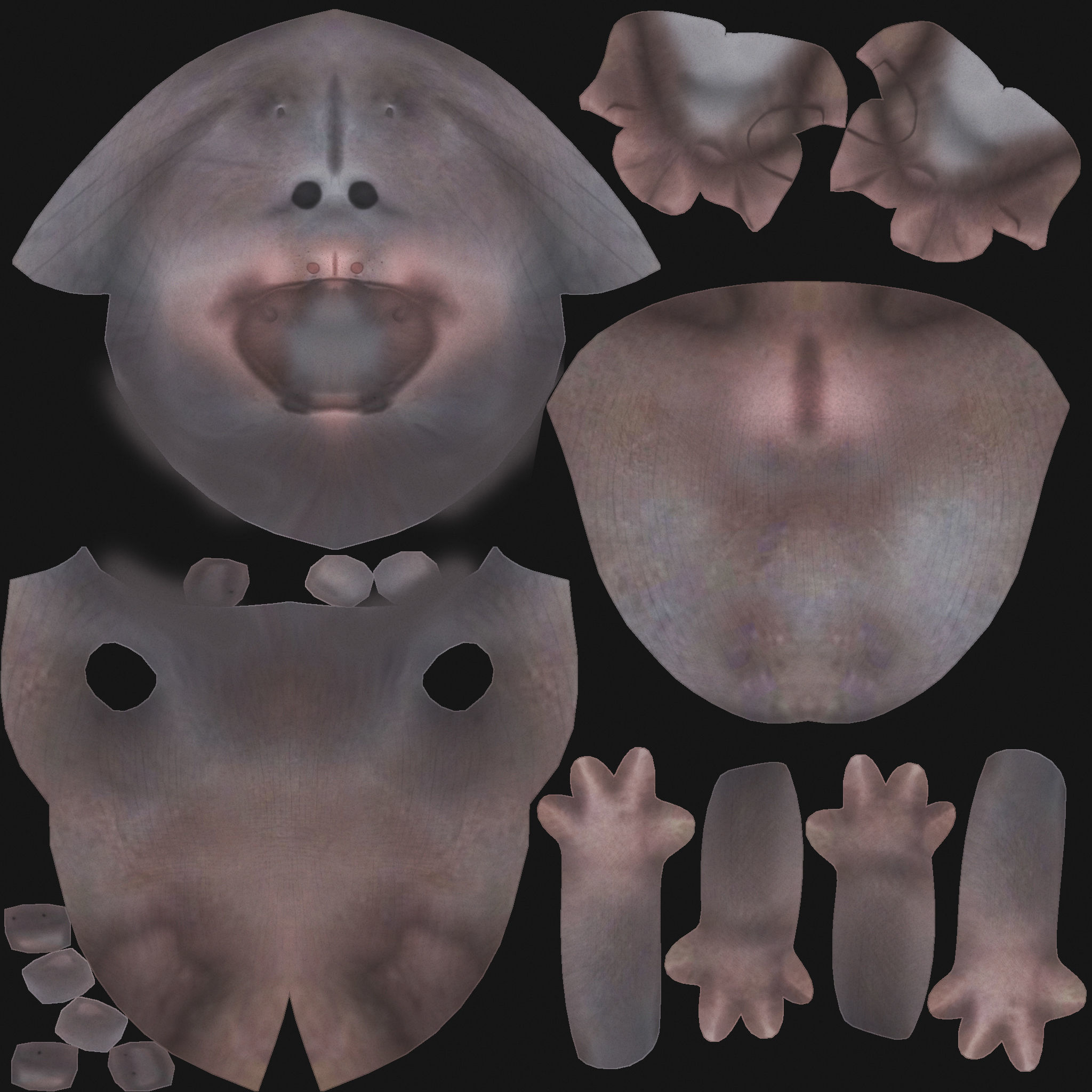 Fun cartoon HIPPO 3D model_13
