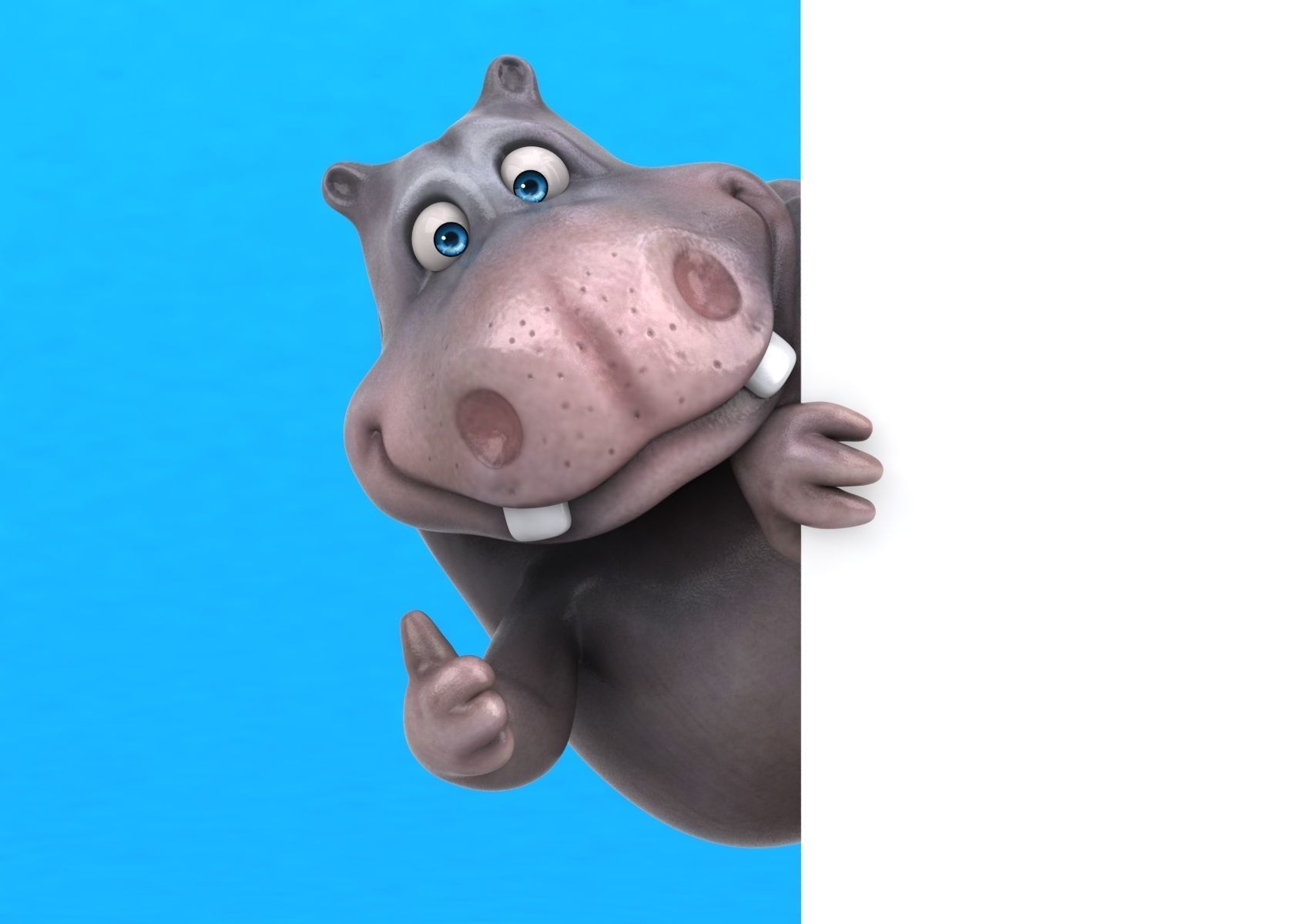 Fun cartoon HIPPO 3D model_2