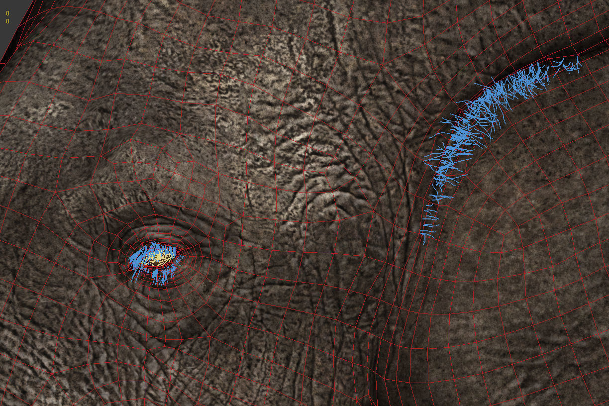 Elephant Rig -Maya- Max Low-poly 3D model_17