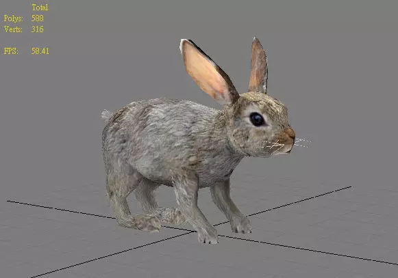 Kelinci rabbit Free 3D print model