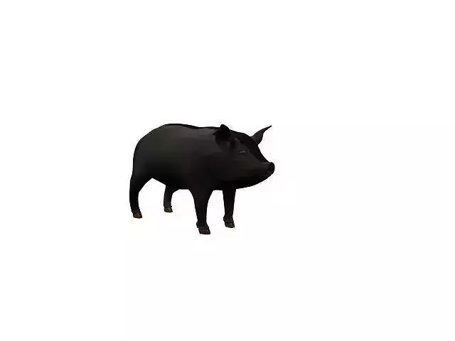 Pig Animal Free 3D print model