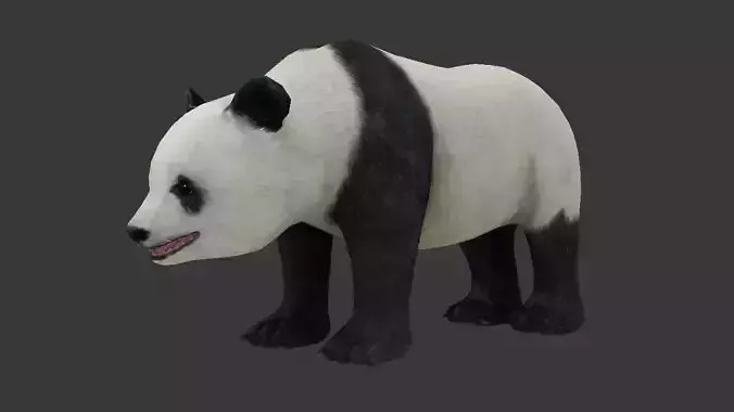 panda bear Low-poly 3D model
