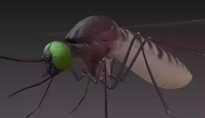 Mosquito with eyes Low-poly 3D model