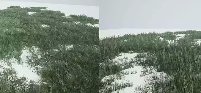 Grass Forest V 1 3D Model Collection