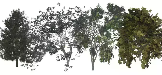 Tree V 1 with leaves 3D Model Collection