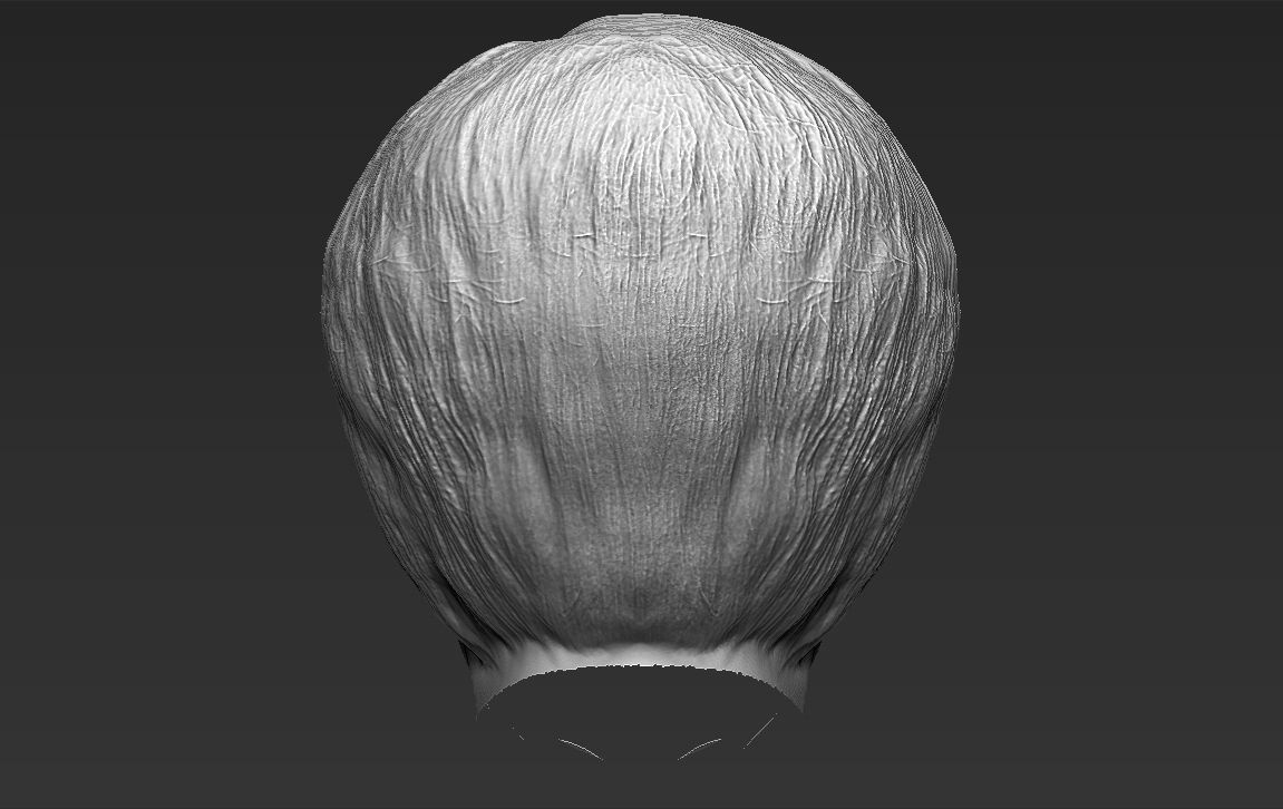 Angela Merkel 3D model_33