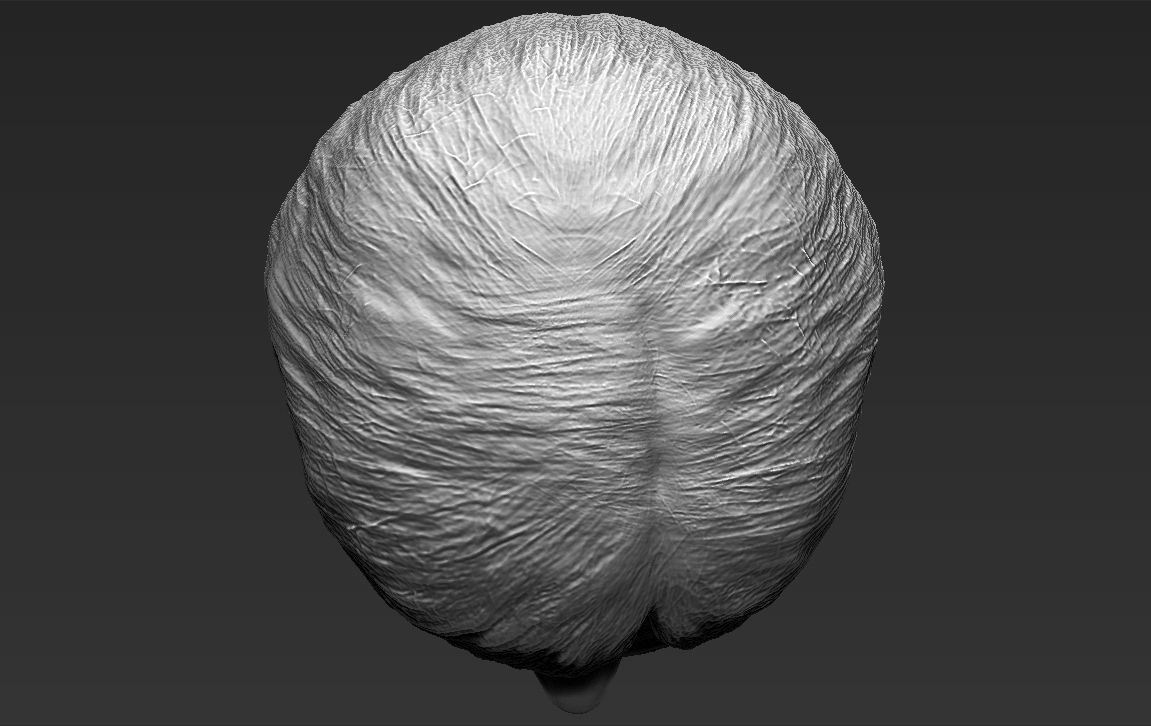 Angela Merkel 3D model_42