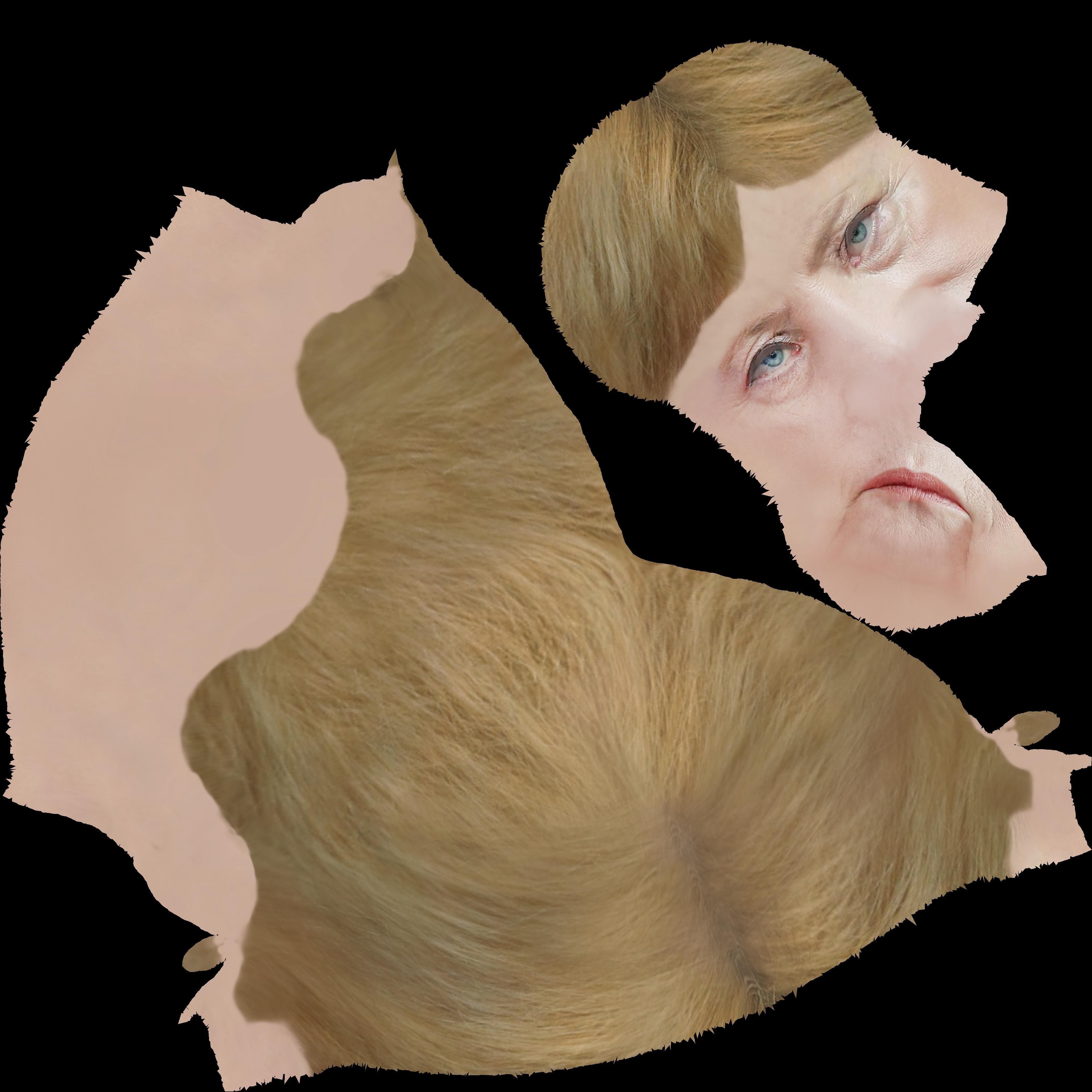 Angela Merkel 3D model_52