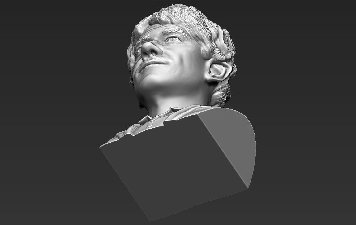 Bilbo Baggins Hobbit bust 3D printing ready stl obj formats 3D print model_22