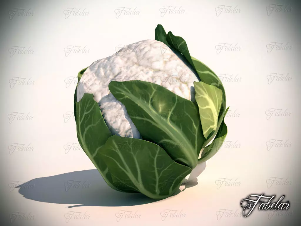 Cauliflower head of Low-poly 3D model