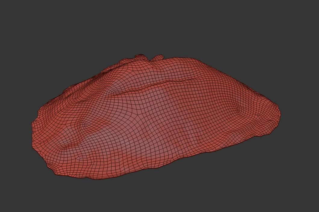Ultra realistic Gravel Scan Low-poly 3D model_6