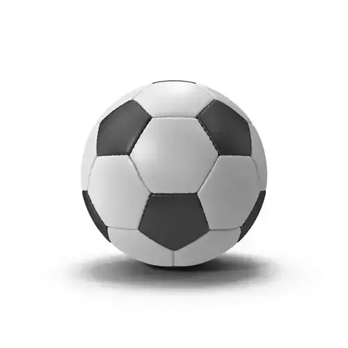 Soccer Ball 3D model