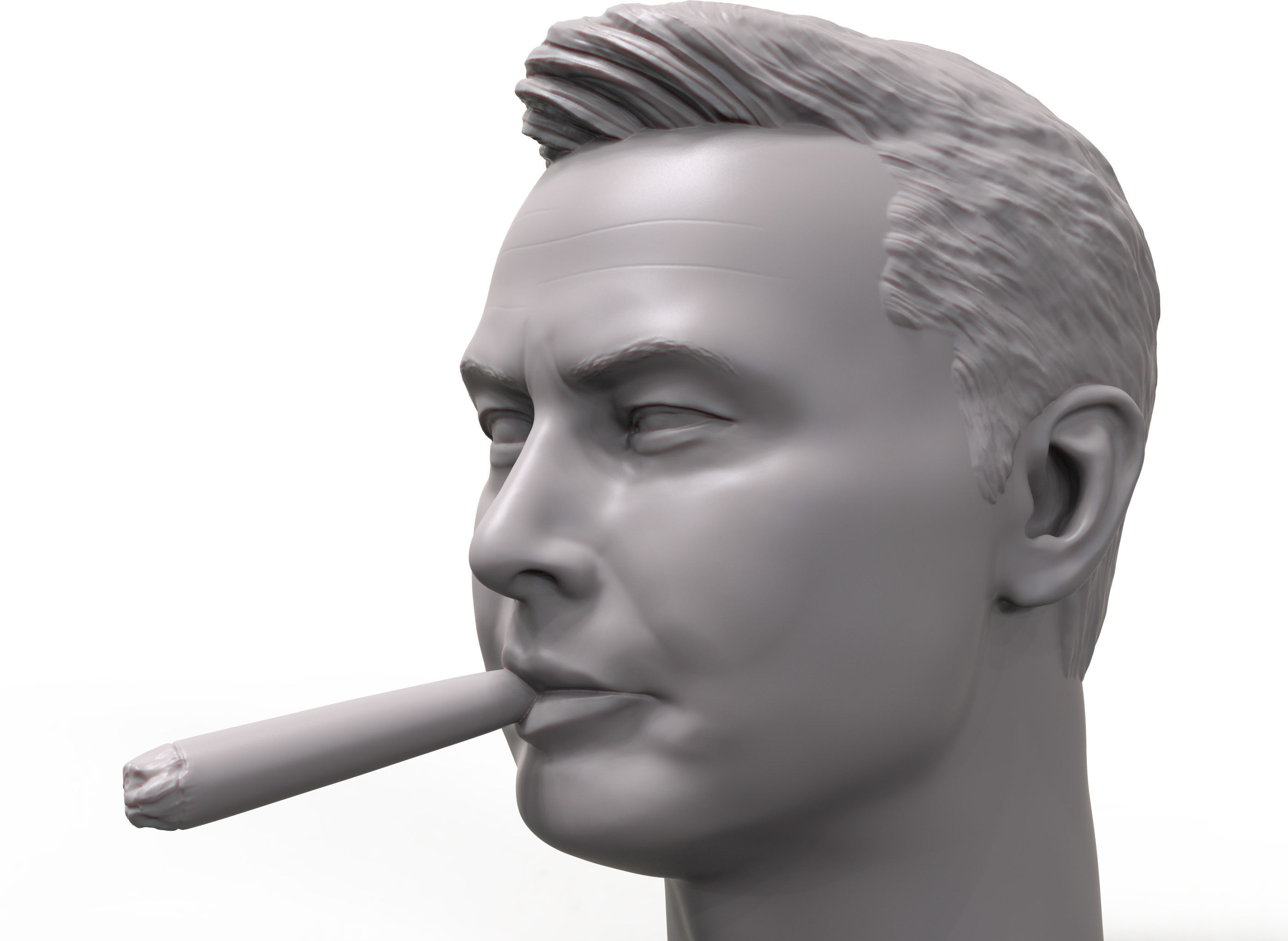 Elon Musk smokin joint 3d portrait 3D print model_3