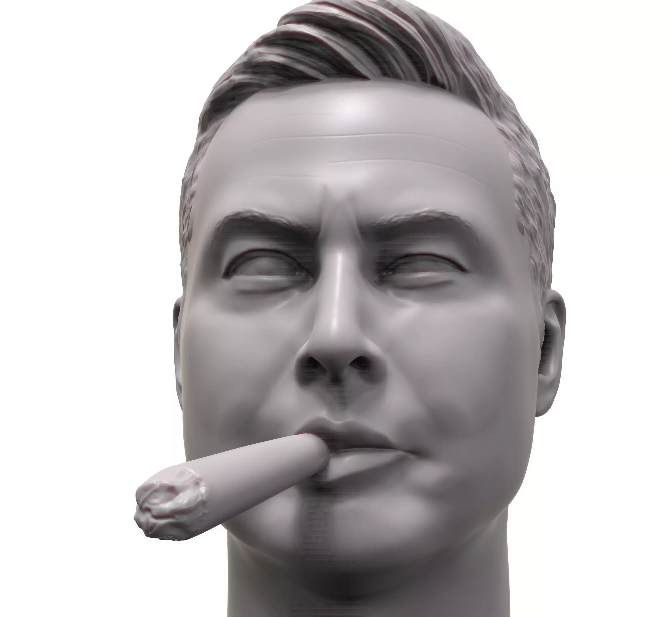 Elon Musk smokin joint 3d portrait 3D print model_0