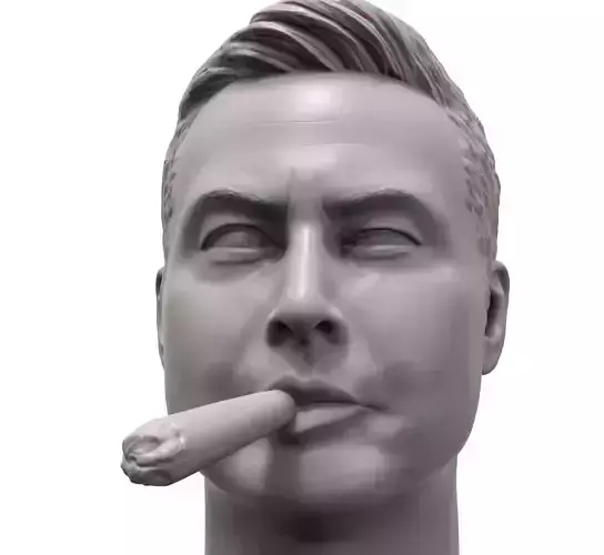 Elon Musk smokin joint 3d portrait 3D print model