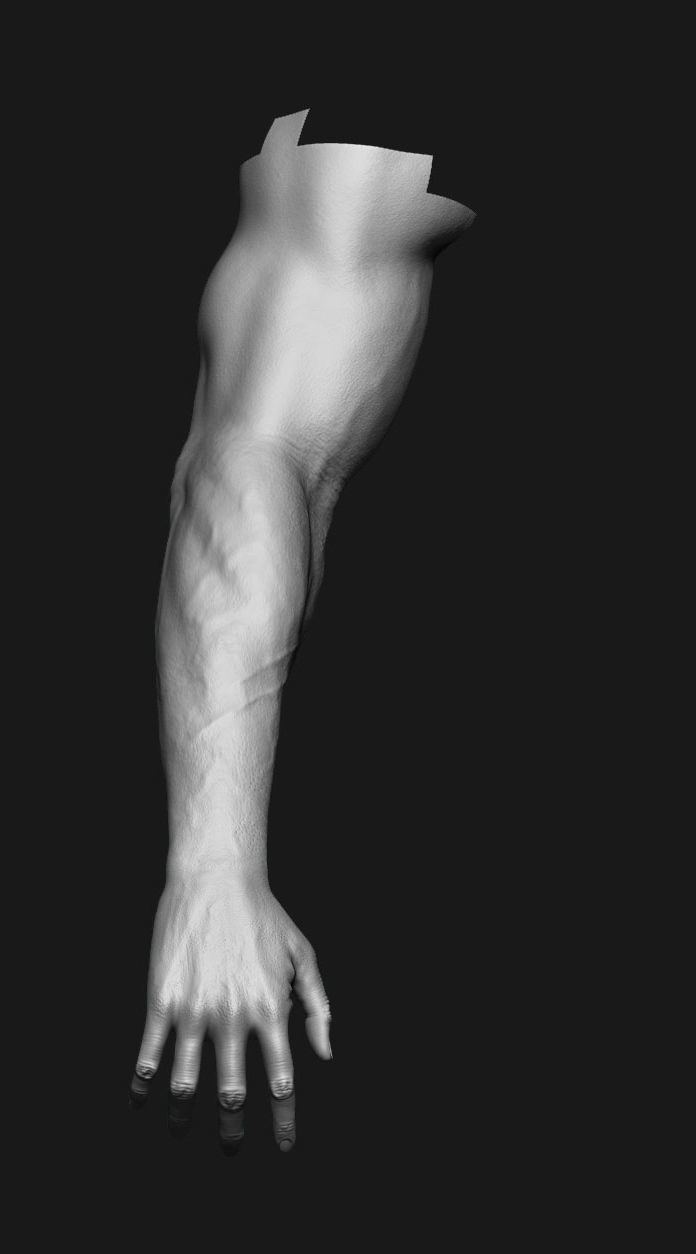 human anatomy Head and hands only 3D model_15