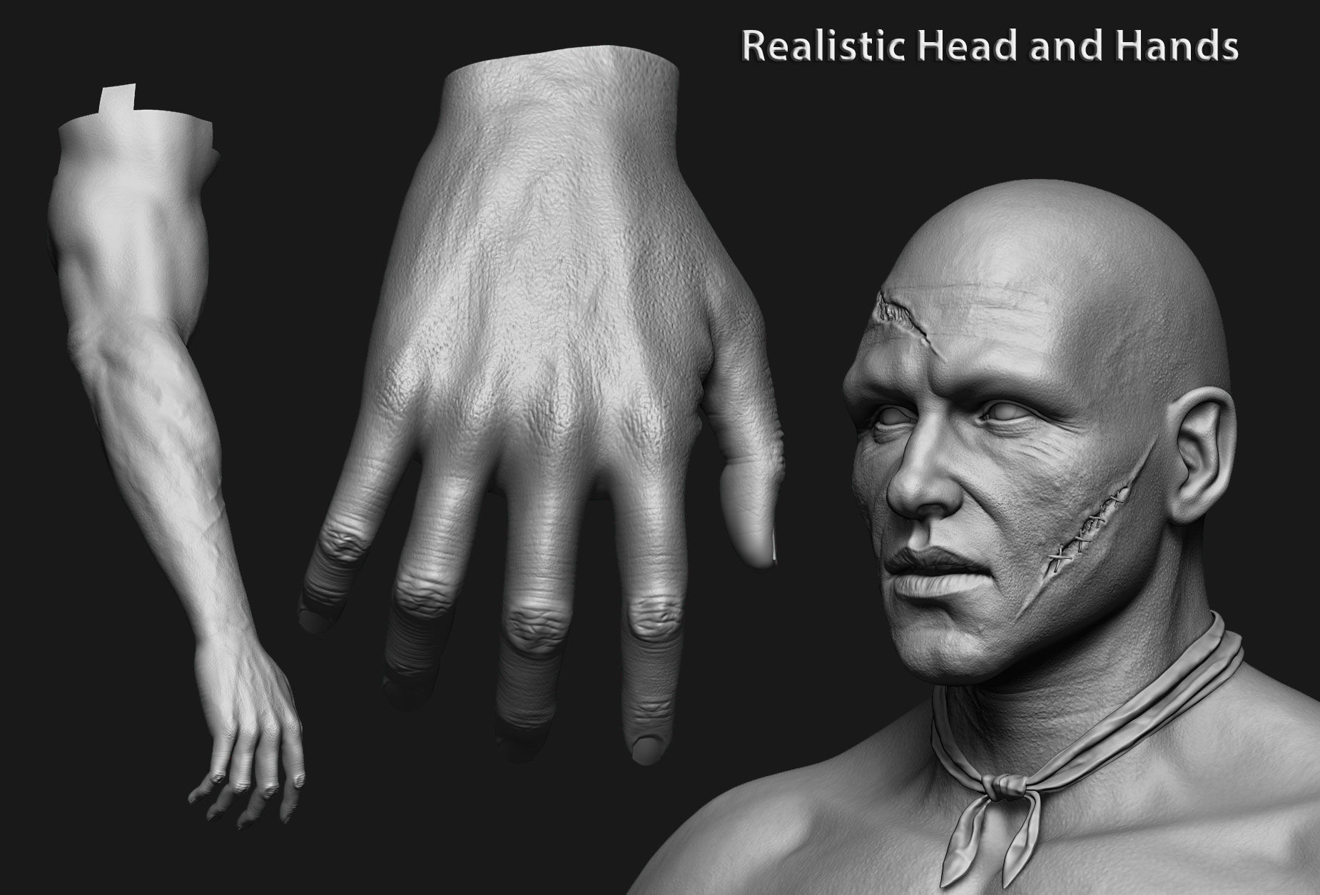 human anatomy Head and hands only 3D model_1
