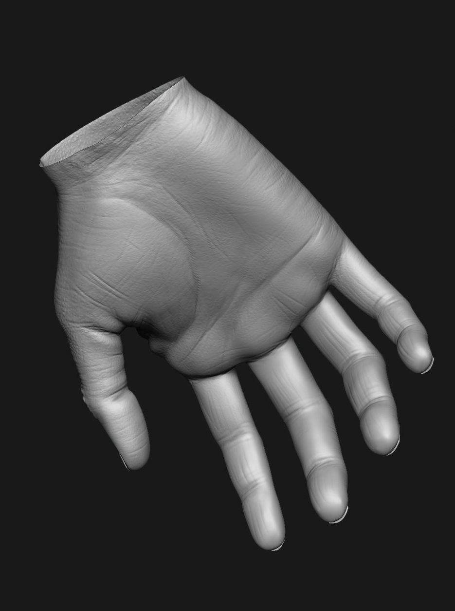 human anatomy Head and hands only 3D model_22