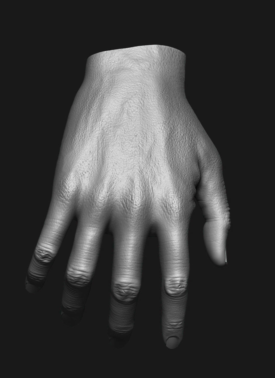 human anatomy Head and hands only 3D model_19