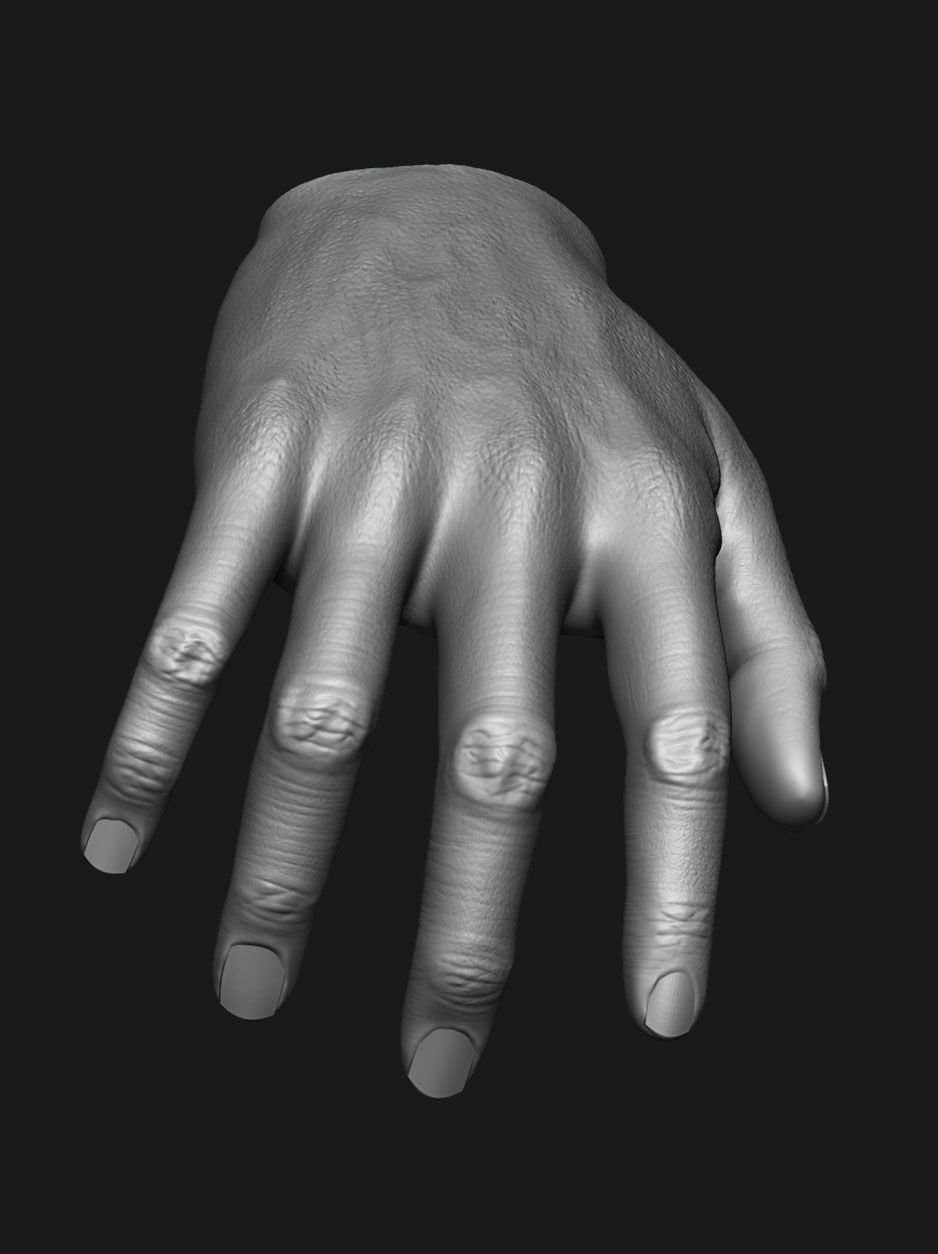 human anatomy Head and hands only 3D model_20