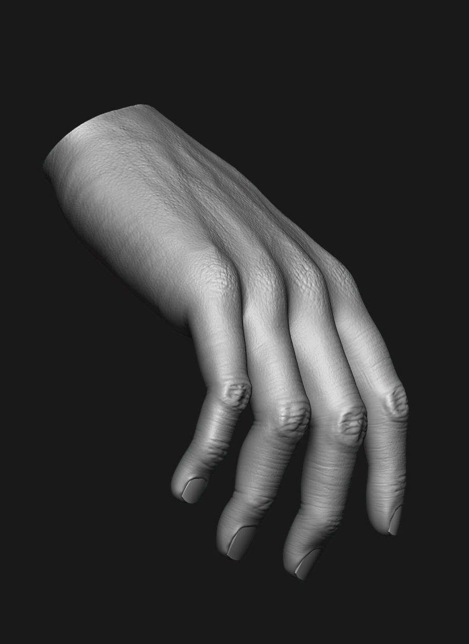 human anatomy Head and hands only 3D model_21