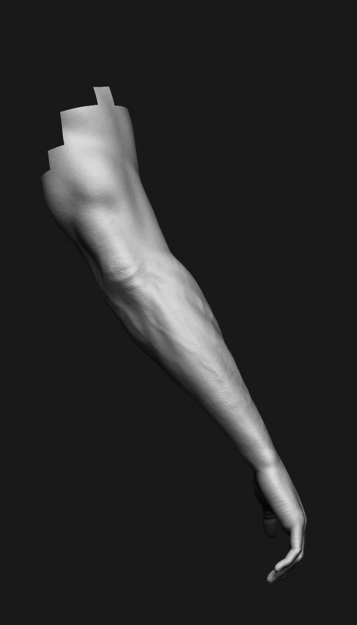 human anatomy Head and hands only 3D model_17