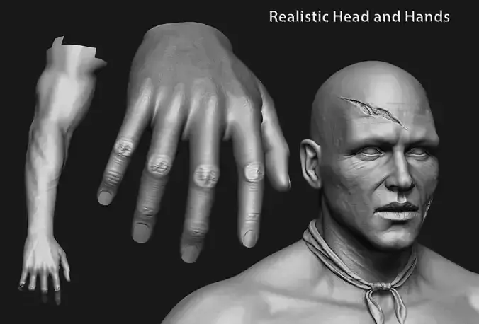 human anatomy Head and hands only 3D model