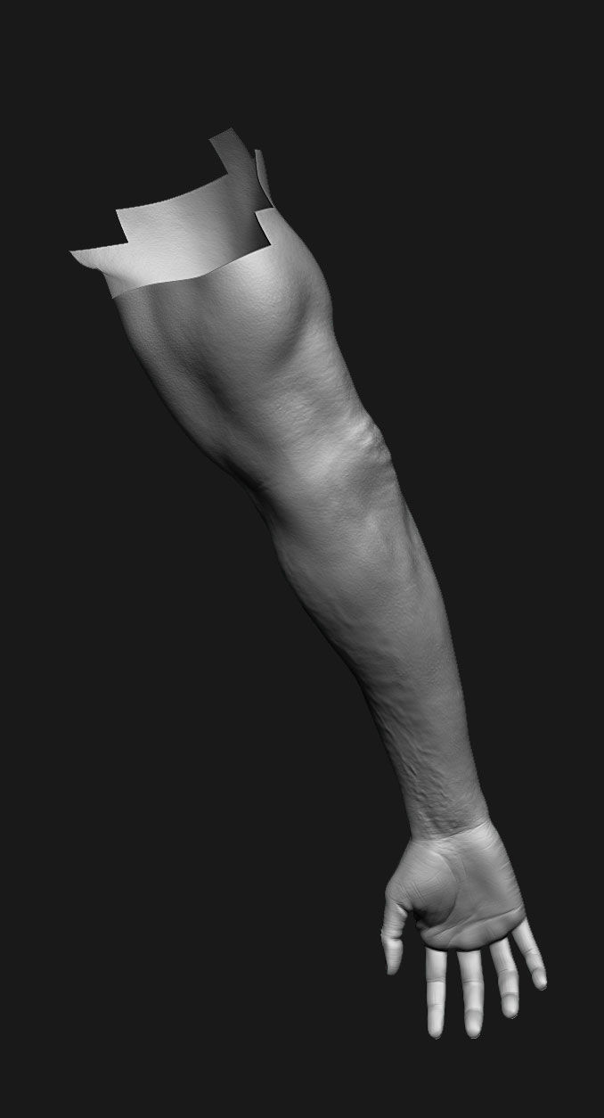 human anatomy Head and hands only 3D model_18