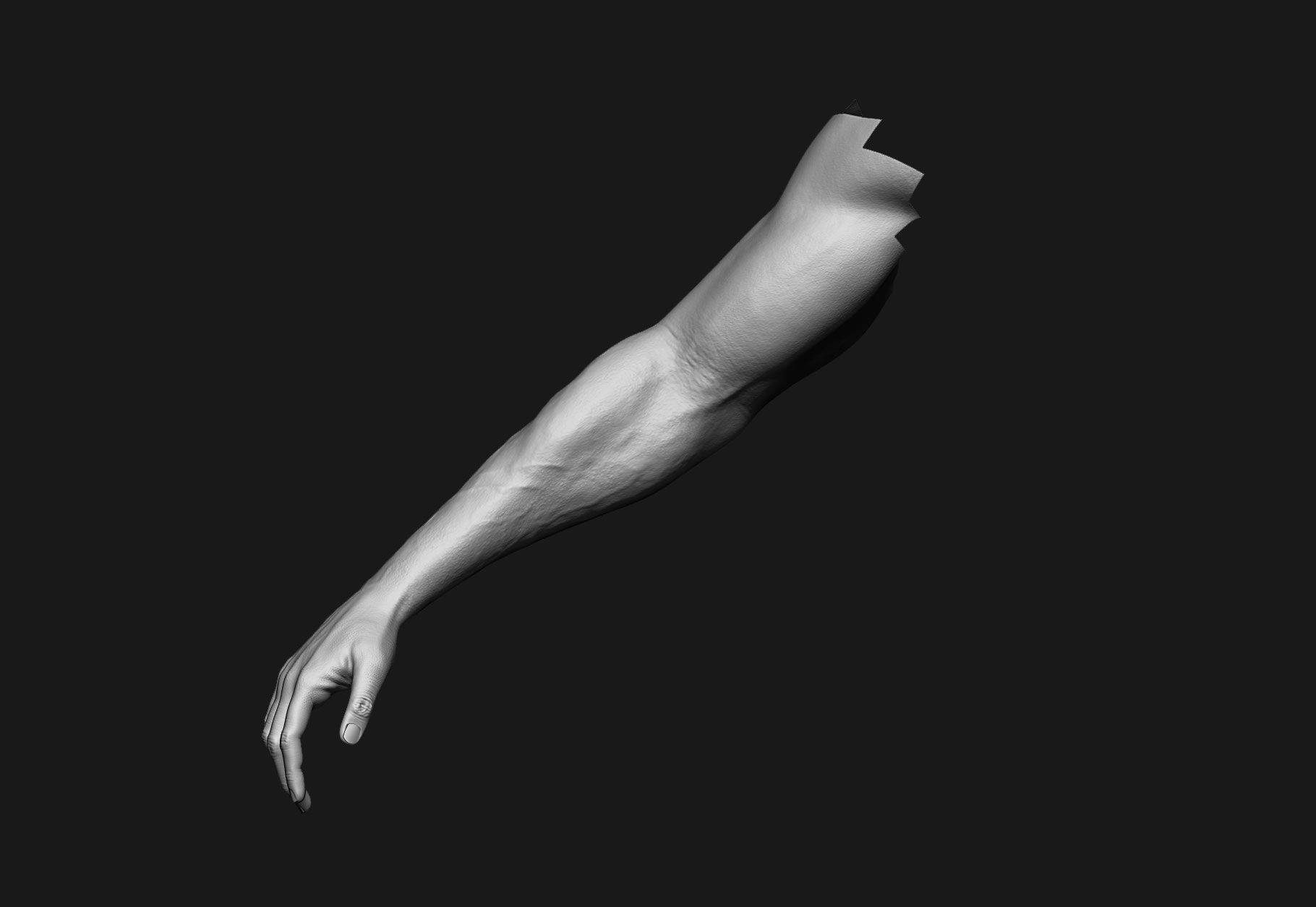 human anatomy Head and hands only 3D model_24