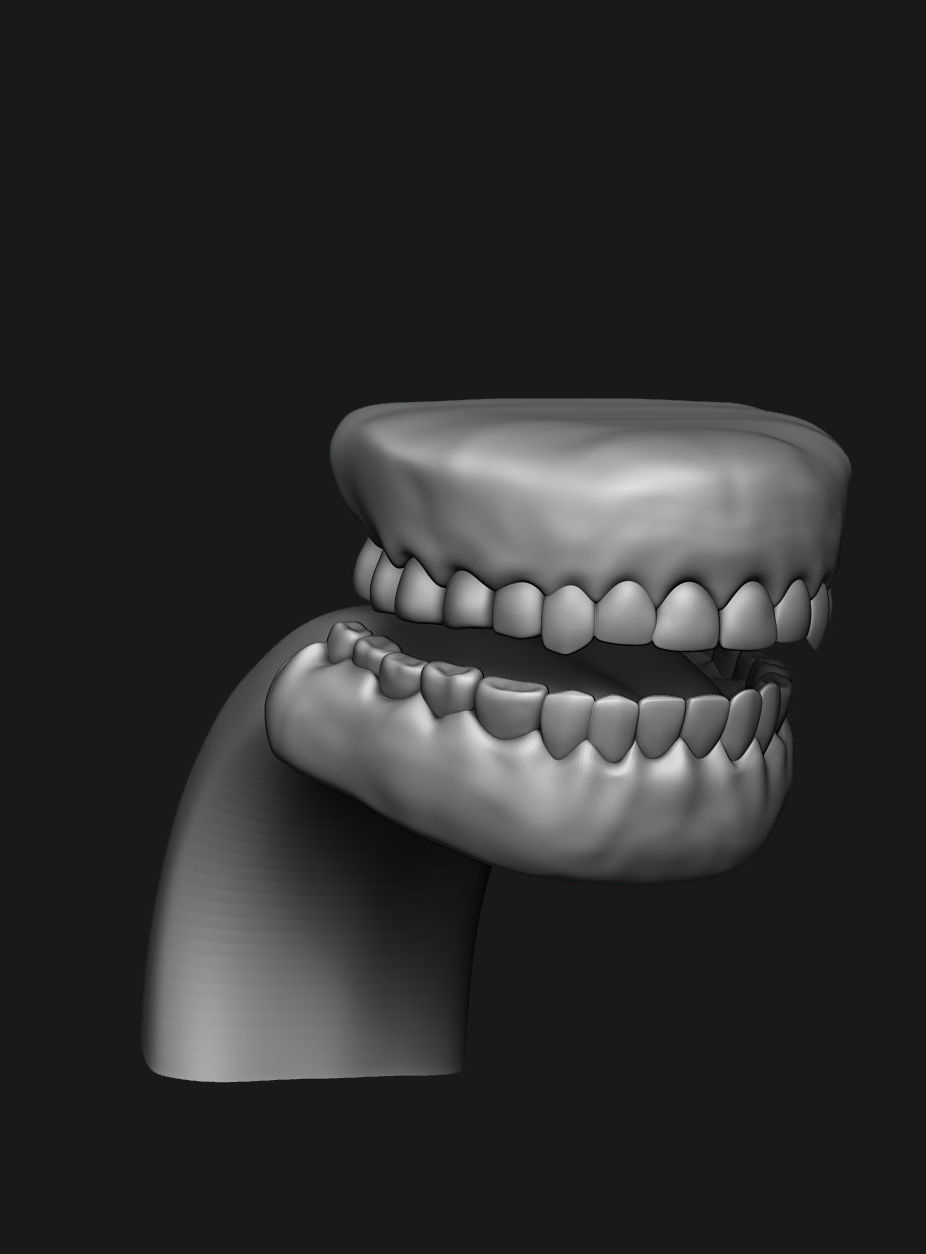 human anatomy Head and hands only 3D model_25