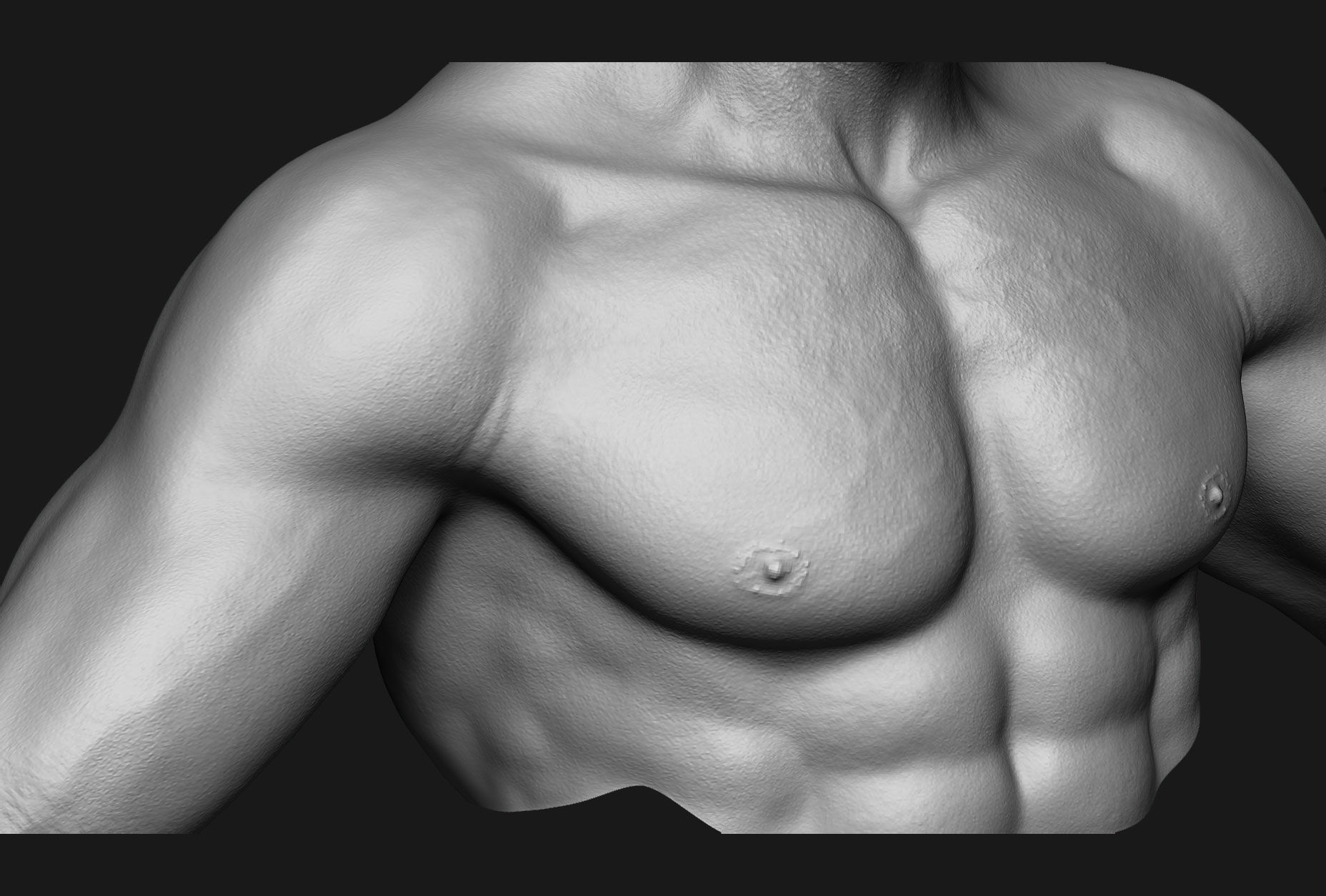 human anatomy Head and hands only 3D model_23