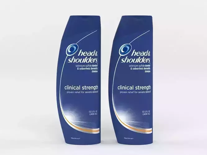 Head and Shoulders 3D model