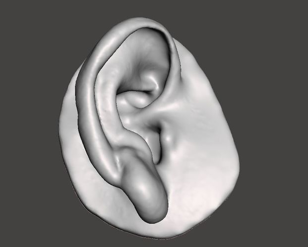 Human natural ear right side 3D print model
