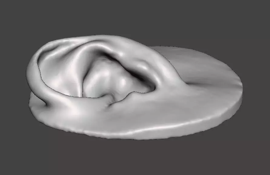 Real human ear anatomy  3D print model_0