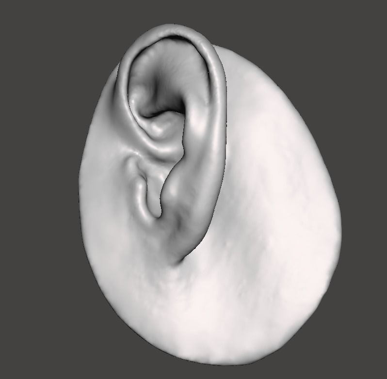Real human ear anatomy  3D print model_2