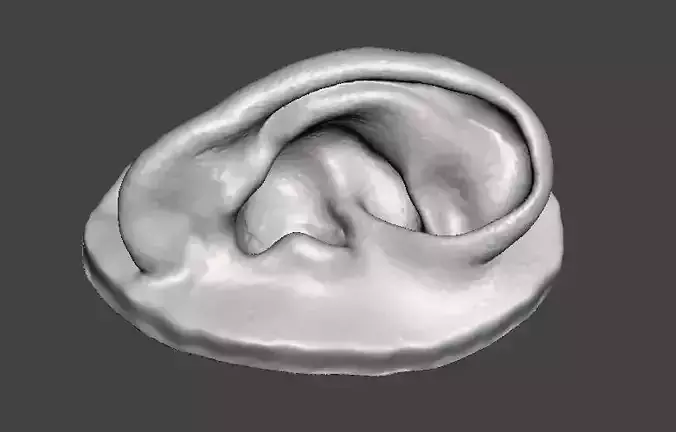 Real human ear anatomy 3D print model