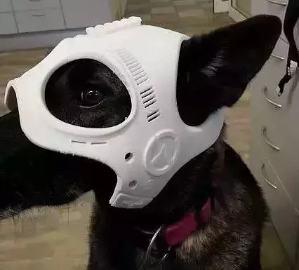 Dog Ranger Spy Helmet Stl mask File 3D print model
