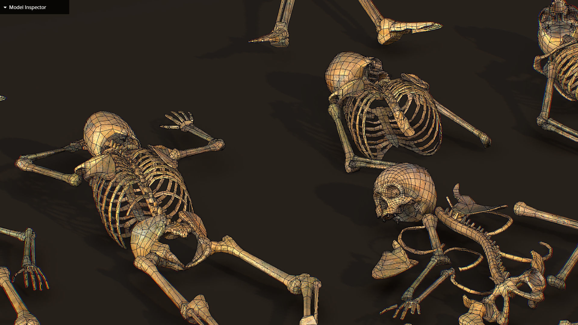 remains skeleton bone big pack 3d model Low-poly 3D model_31