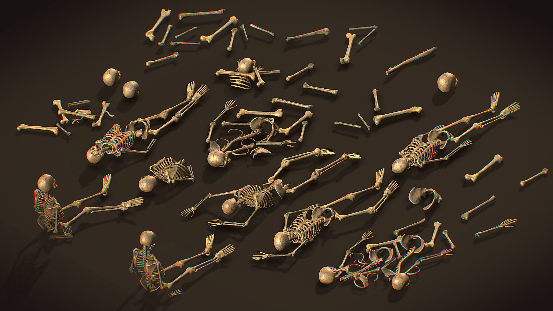 remains skeleton bone big pack 3d model Low-poly 3D model_11
