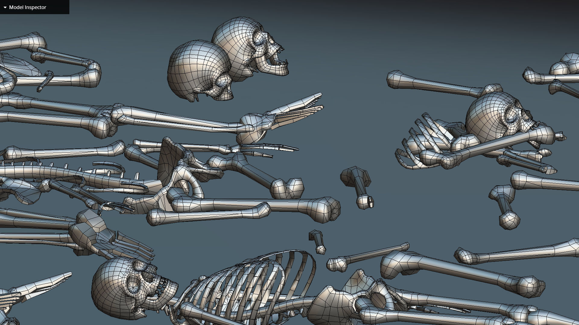 remains skeleton bone big pack 3d model Low-poly 3D model_39