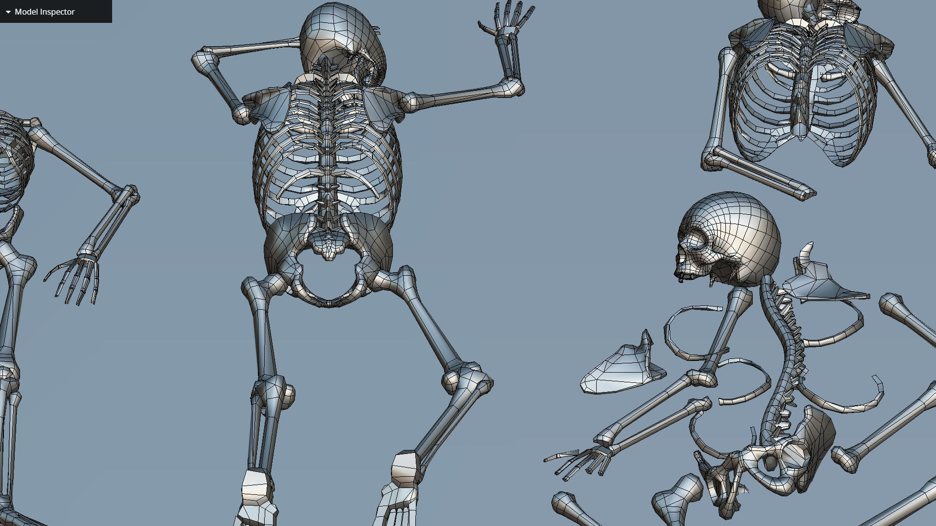 remains skeleton bone big pack 3d model Low-poly 3D model_47