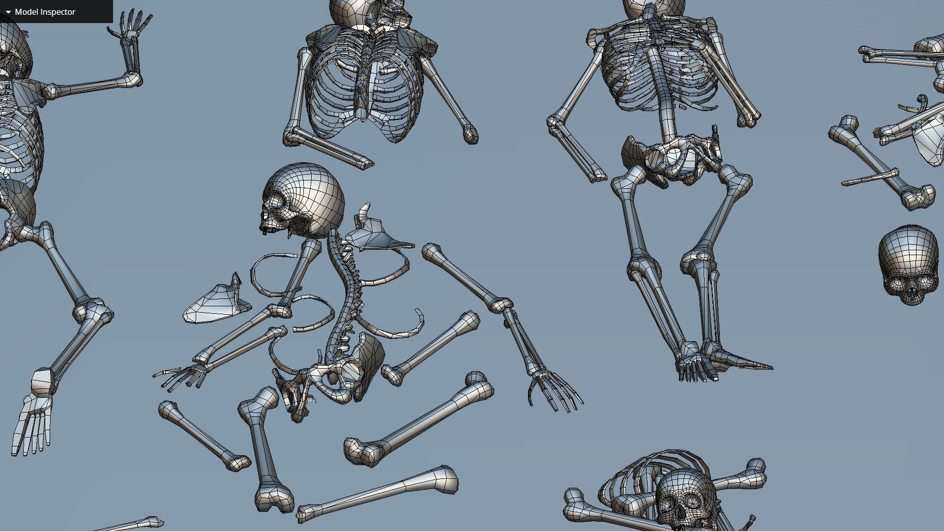 remains skeleton bone big pack 3d model Low-poly 3D model_49