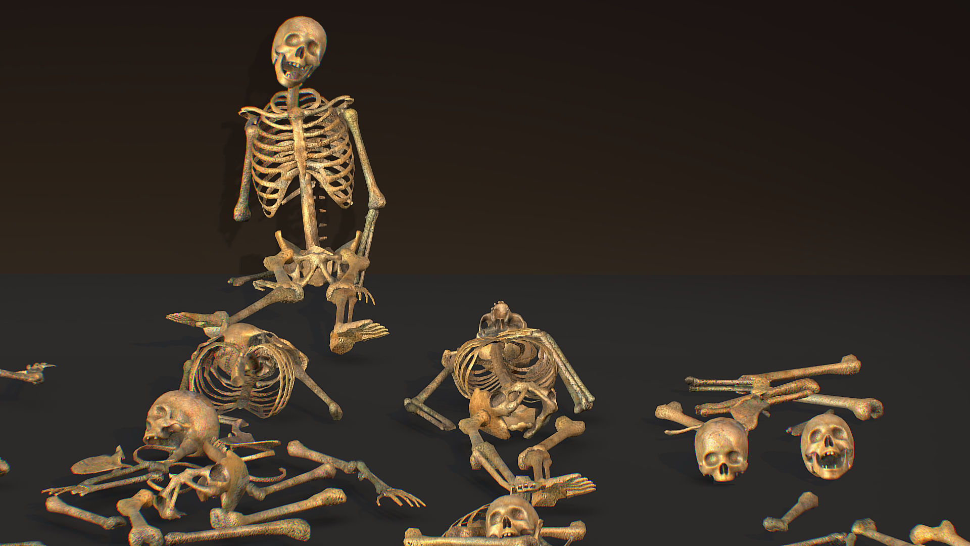 remains skeleton bone big pack 3d model Low-poly 3D model_22