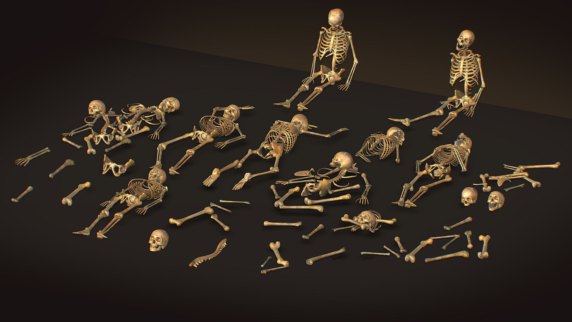 remains skeleton bone big pack 3d model Low-poly 3D model_1