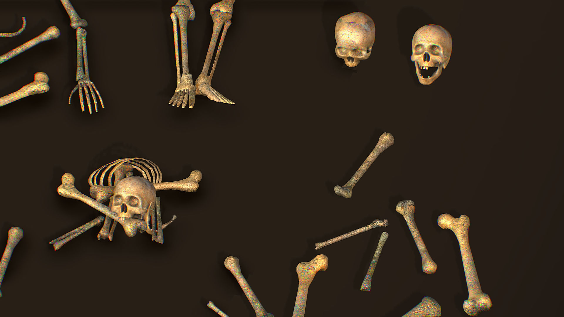 remains skeleton bone big pack 3d model Low-poly 3D model_17