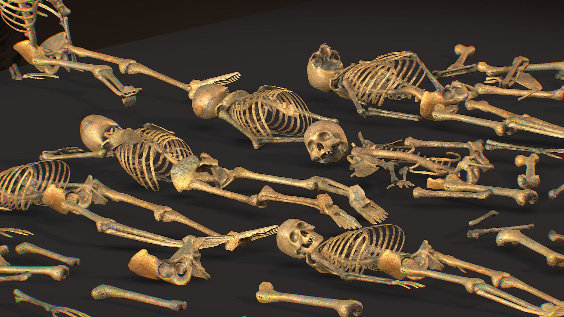 remains skeleton bone big pack 3d model Low-poly 3D model_25