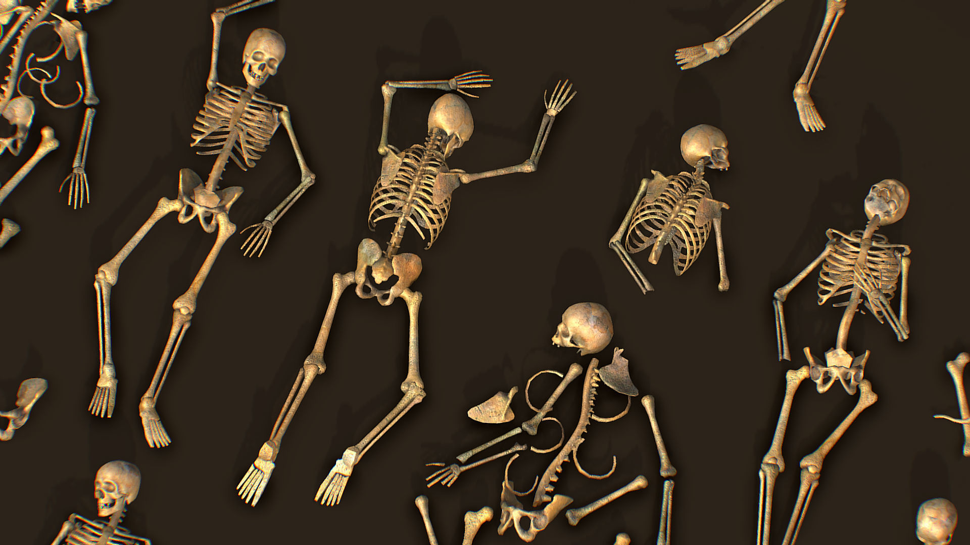 remains skeleton bone big pack 3d model Low-poly 3D model_10