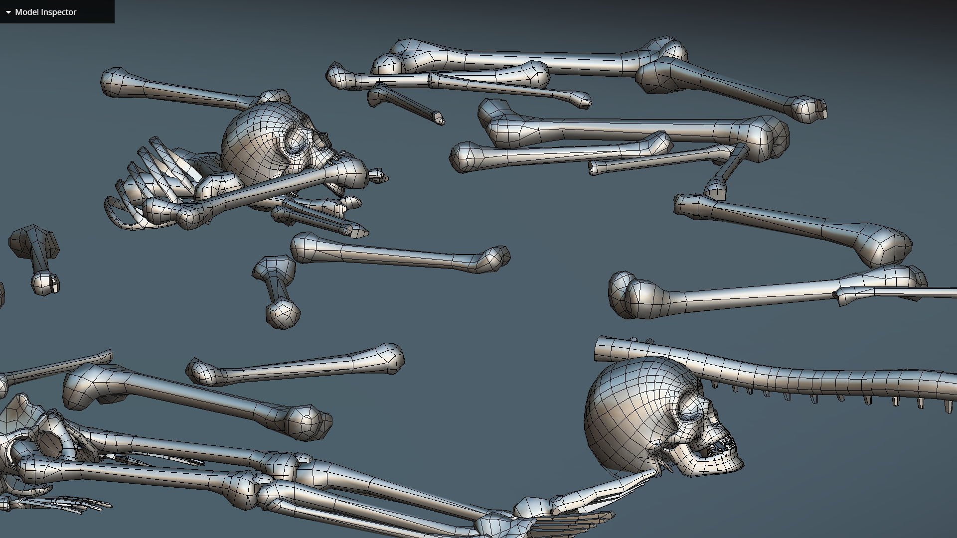 remains skeleton bone big pack 3d model Low-poly 3D model_38